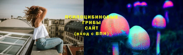 ешки Михайлов