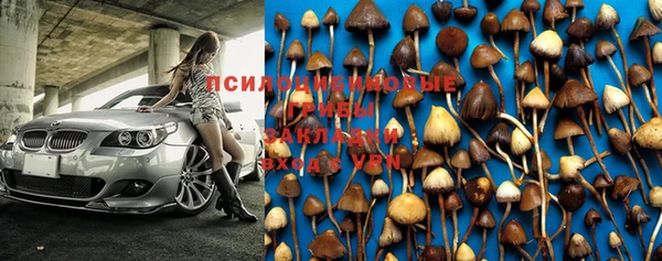 ешки Михайлов
