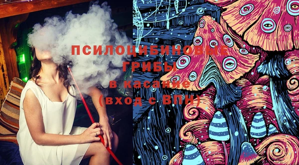 ешки Михайлов