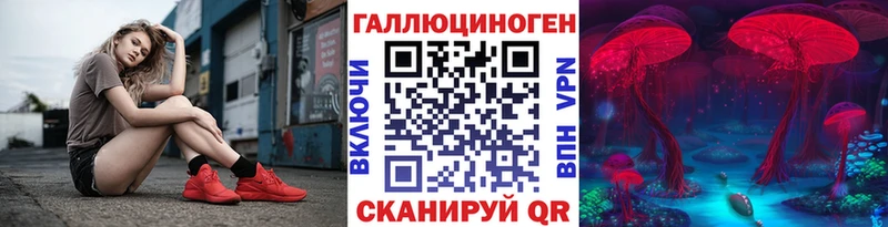 Псилоцибиновые грибы Psilocybe  Ахтырский 